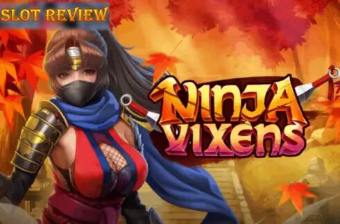 Ninja Vixens - обзор слота